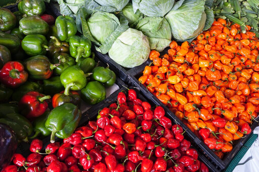 5 most profitable Agric businesses in Nigeria you can invest in